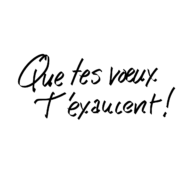 En vœux-tu, en vlà